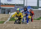 921H6851 bmx-tc-11-9-21